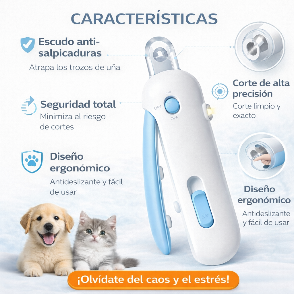 Encabezado